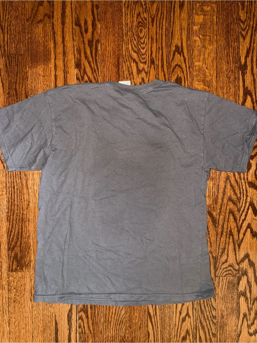 Gildan Gray Tee with Dog Graphic and Blue Sunglasses